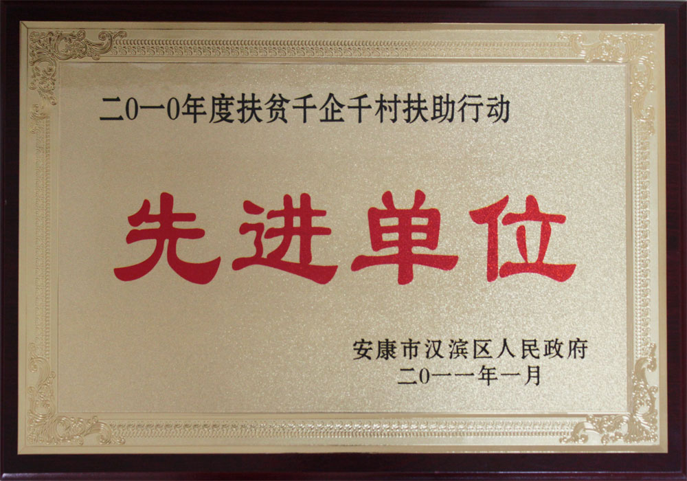 2010年汉滨区扶贫千企千村扶助行动先进单位